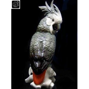 画像: 【アカオクロオウム】【中古・アンティーク】