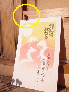 画像: 小さな養蜂「ミエル」からも、ご挨拶